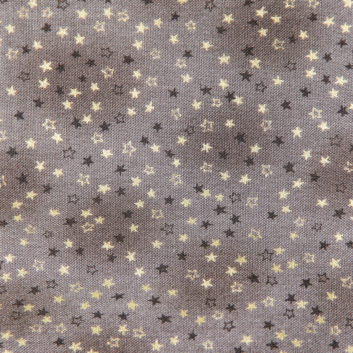 Stelle di Natale